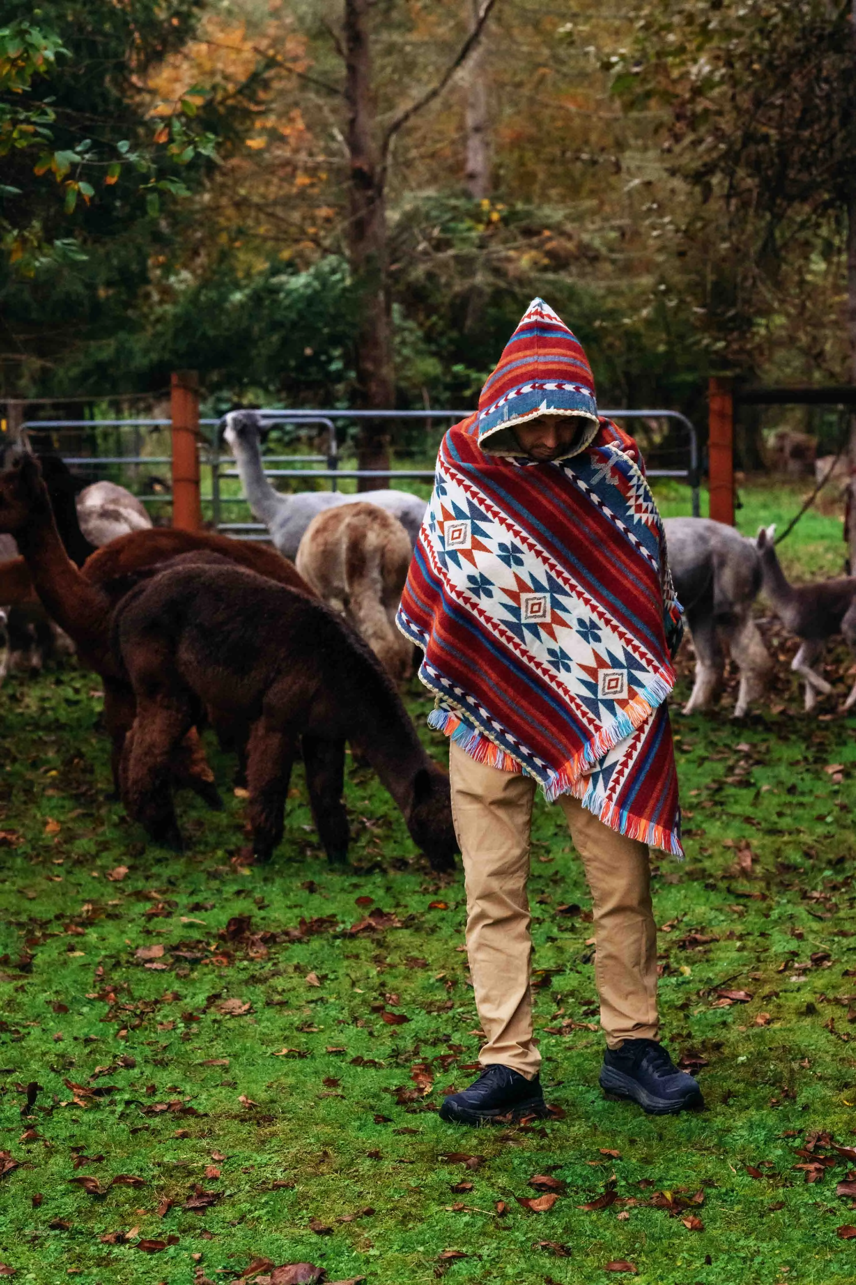 Arequipa - Landscape - Hooded Shawl - Alpaca Shawl Poncho