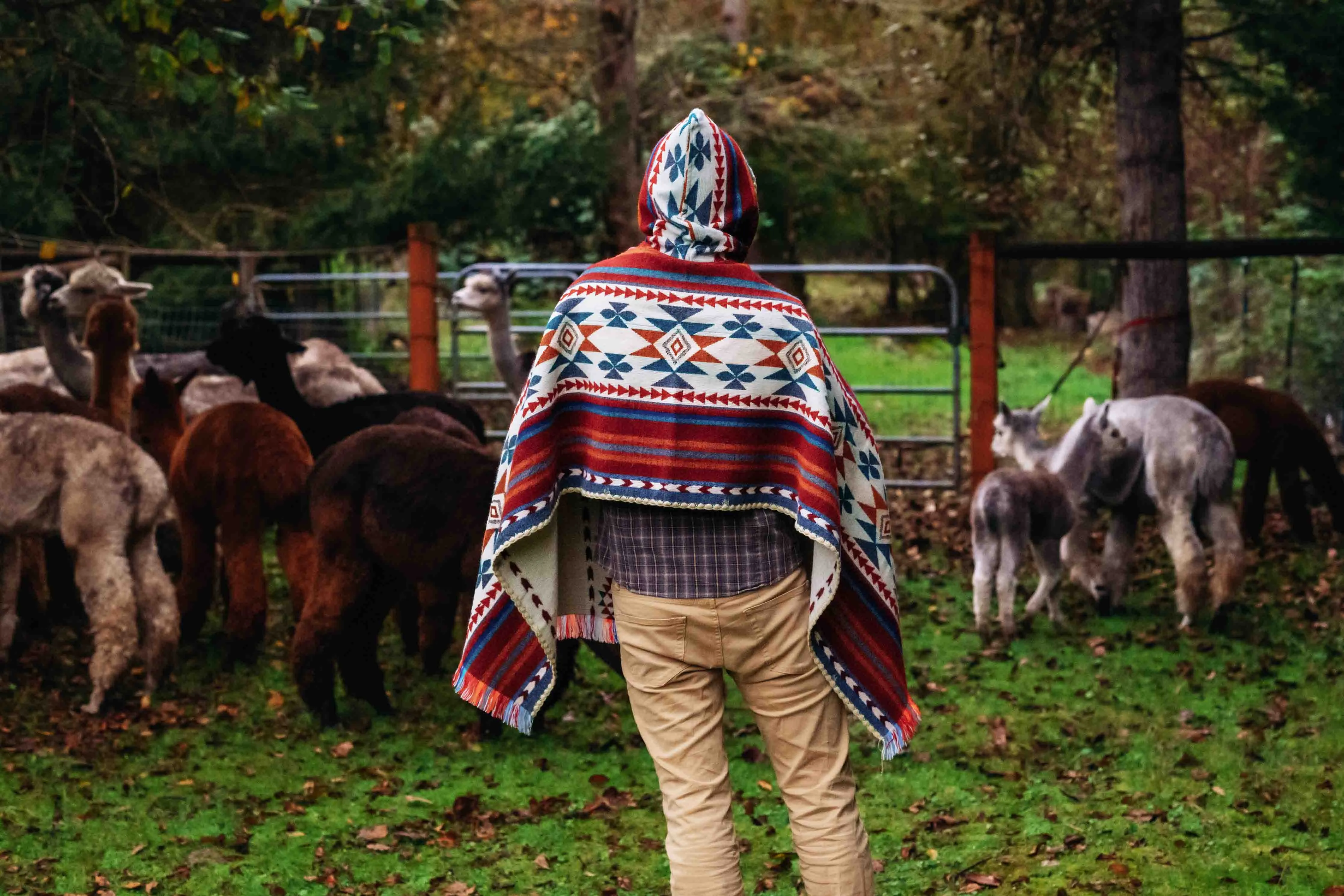 Arequipa - Landscape - Hooded Shawl - Alpaca Shawl Poncho