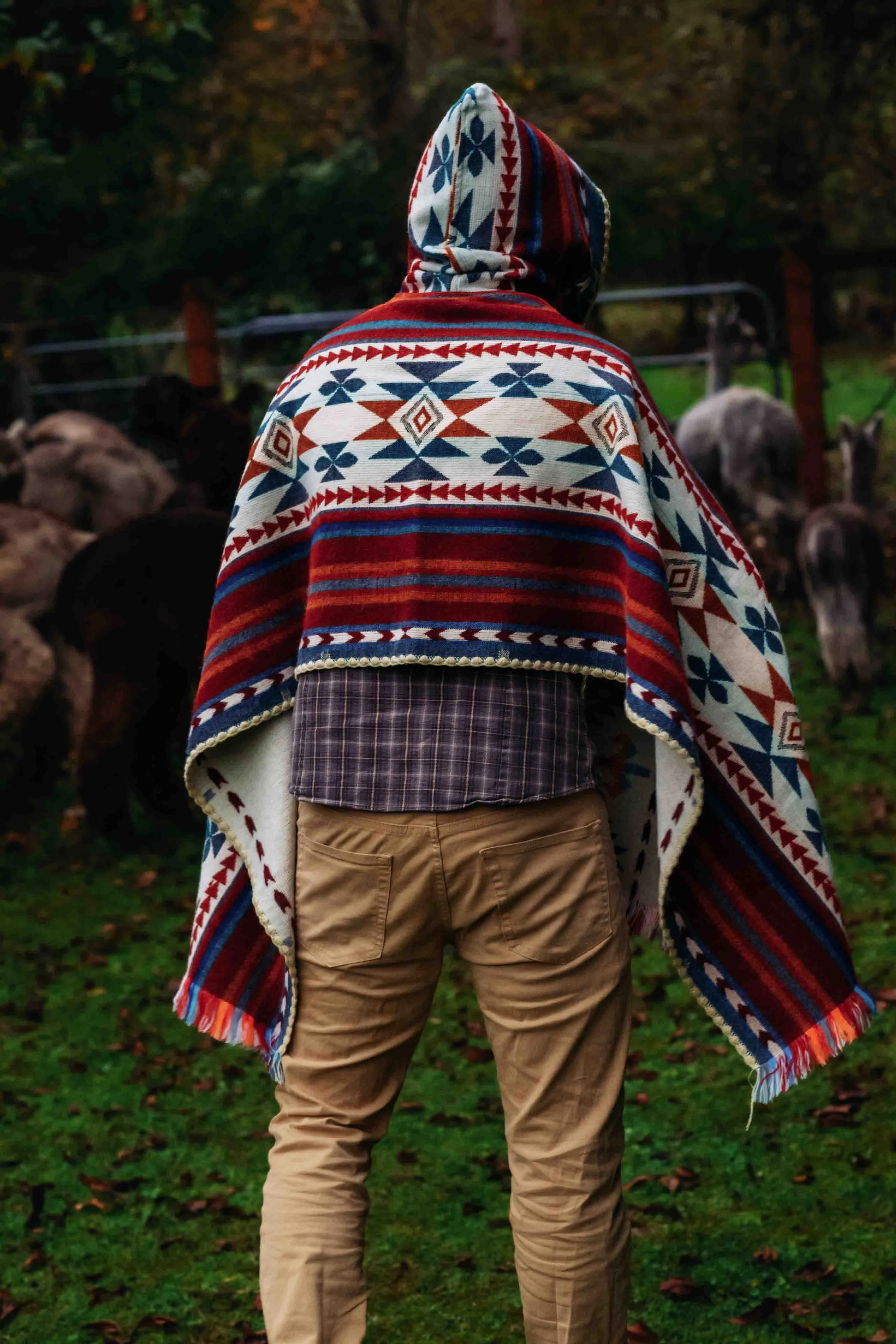 Arequipa - Landscape - Hooded Shawl - Alpaca Shawl Poncho