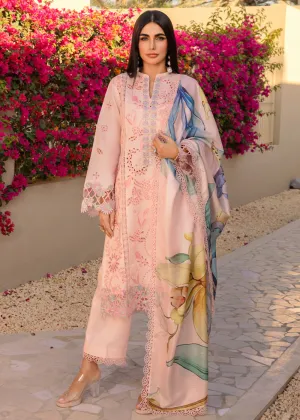 Carnation Summer Lawn Collection '24 by Rang Rasiya | CAMILIA