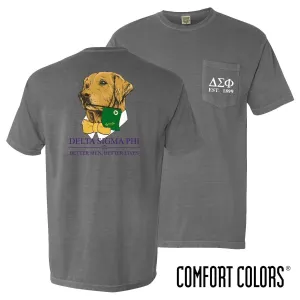 Delta Sig Comfort Colors Retriever Flag Tee