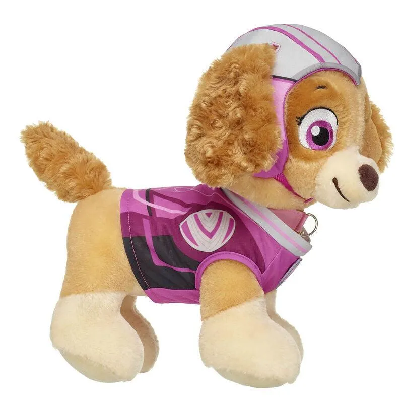 PAW Patrol Skye Costume