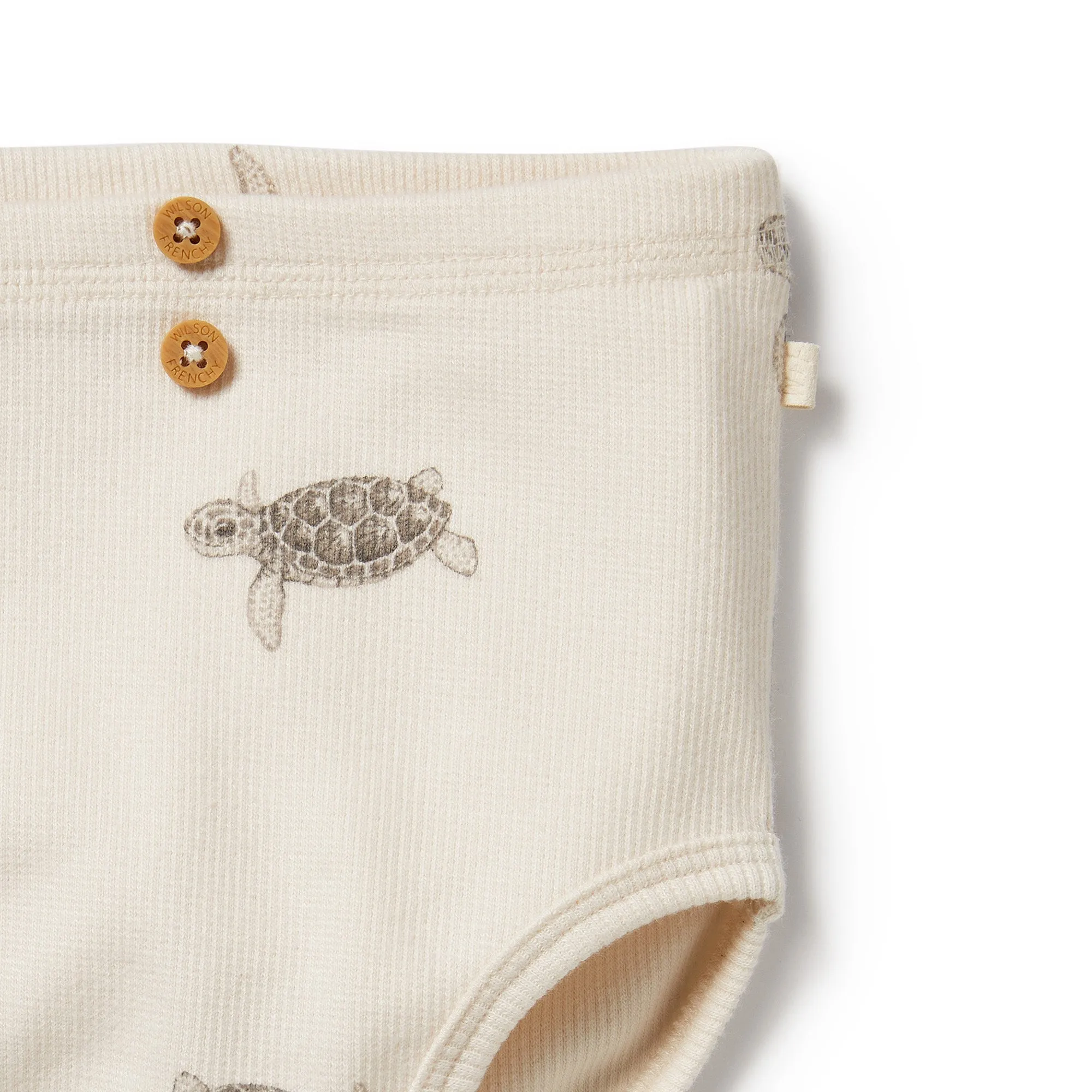 Wilson and Frenchy Organic Nappy Pant Tiny Turtle